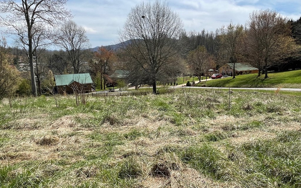 Lot 8 Cabin Drive #8, HAYESVILLE, North Carolina image 12