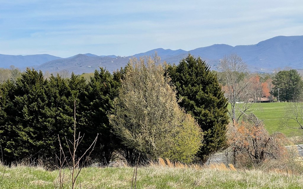 Lot 8 Cabin Drive #8, HAYESVILLE, North Carolina image 11