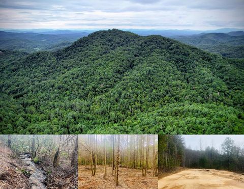 Vacant Land For Sale - Flea Mountain Rd<br/> MURPHY, NC 28906