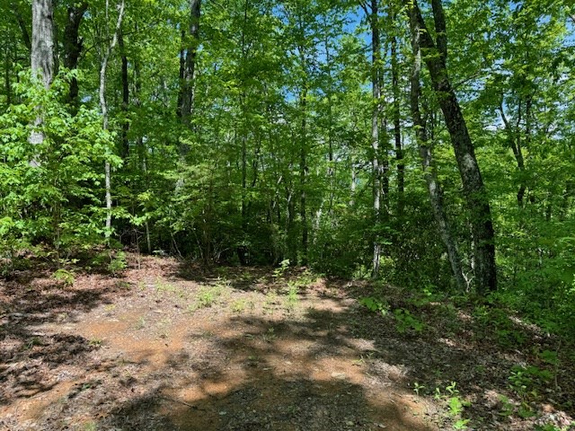 Lot 17 Paradise Mountain #17, MARBLE, North Carolina image 4