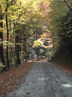 Lot 7 Serenity Ridge Trail, ANDREWS, North Carolina image 7