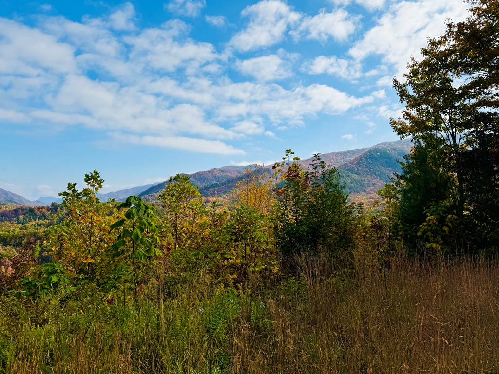 Lot 7 Serenity Ridge Trail, ANDREWS, North Carolina image 22