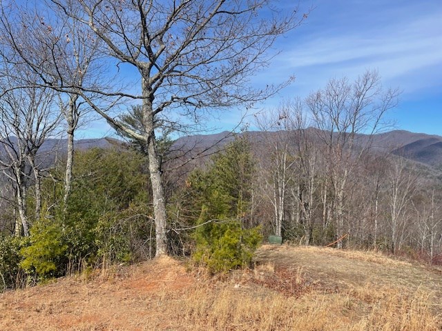 Lot 7 Serenity Ridge Trail, ANDREWS, North Carolina image 12