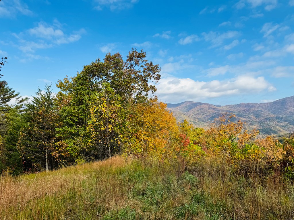 Lot 7 Serenity Ridge Trail, ANDREWS, North Carolina image 24