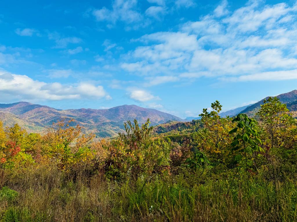 Lot 7 Serenity Ridge Trail, ANDREWS, North Carolina image 1