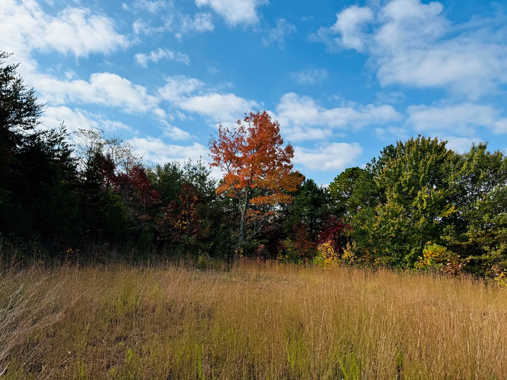 Lot 7 Serenity Ridge Trail, ANDREWS, North Carolina image 19