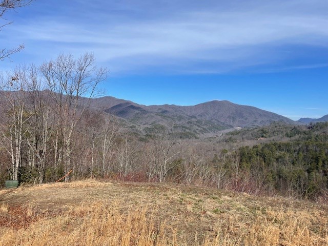 Lot 7 Serenity Ridge Trail, ANDREWS, North Carolina image 18