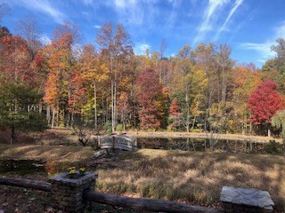 Lot 7 Serenity Ridge Trail, ANDREWS, North Carolina image 8