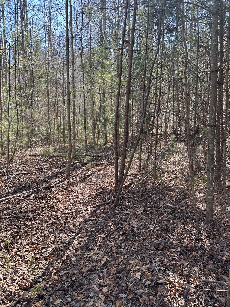 1.5 Acre Trail Road, MURPHY, North Carolina image 6