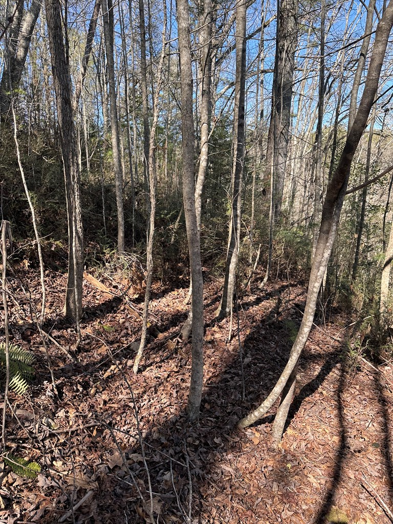 1.5 Acre Trail Road, MURPHY, North Carolina image 15