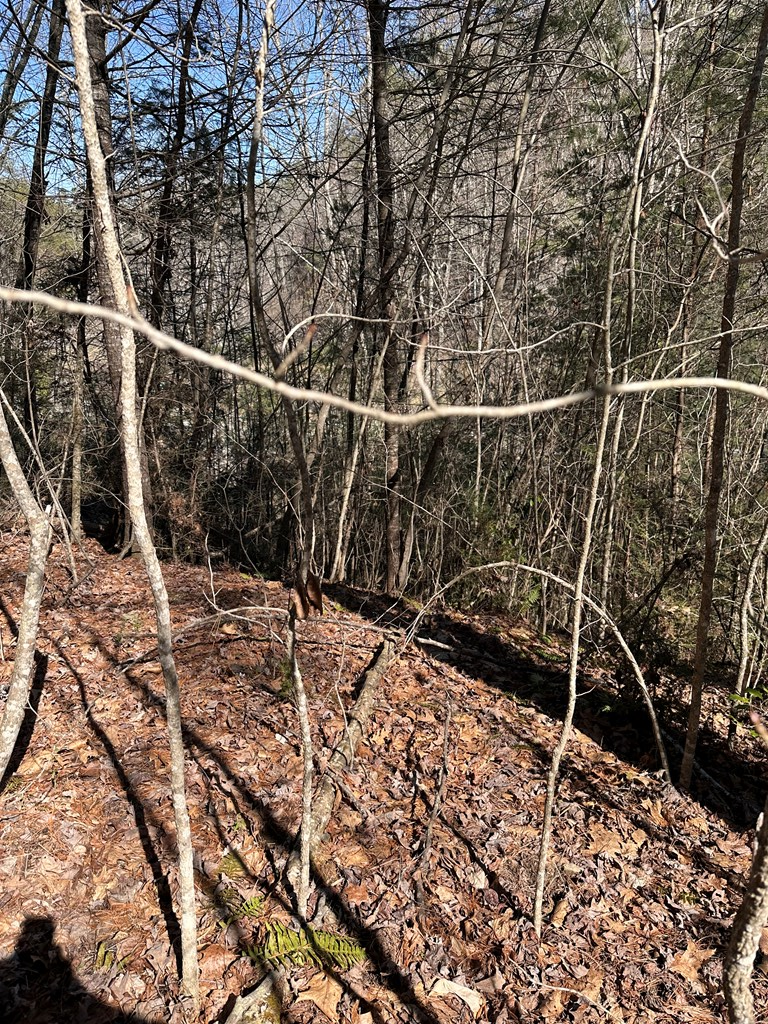 1.5 Acre Trail Road, MURPHY, North Carolina image 14