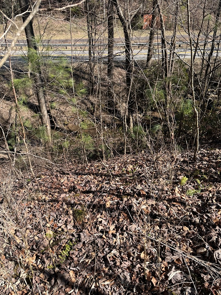 1.5 Acre Trail Road, MURPHY, North Carolina image 5