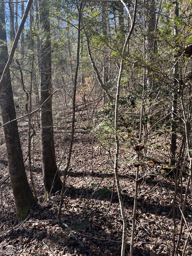 1.5 Acre Trail Road, MURPHY, North Carolina image 9