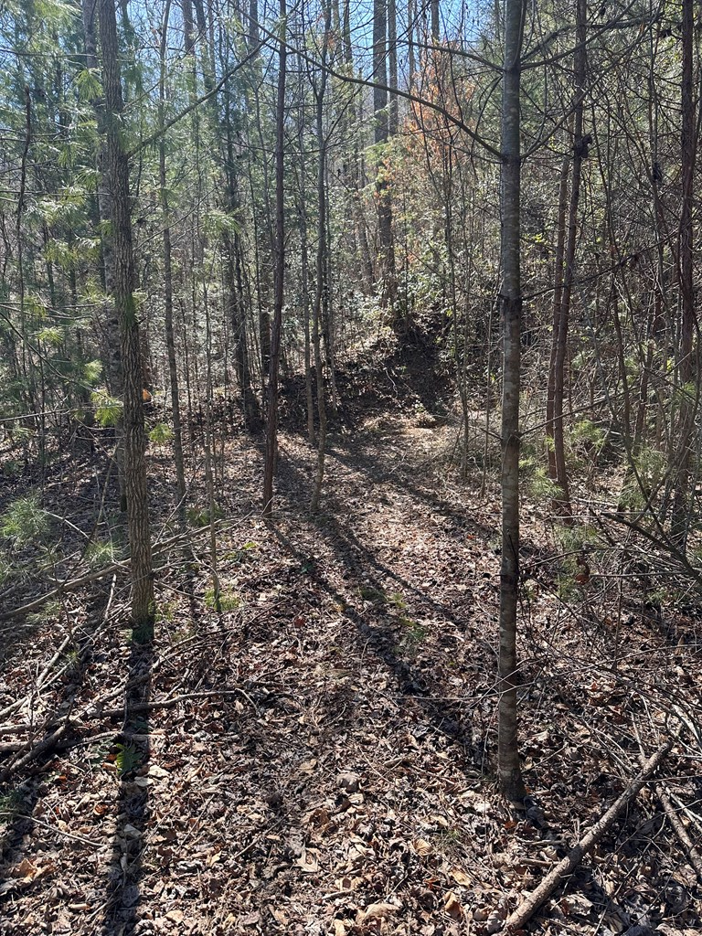1.5 Acre Trail Road, MURPHY, North Carolina image 7