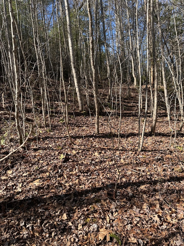 1.5 Acre Trail Road, MURPHY, North Carolina image 11