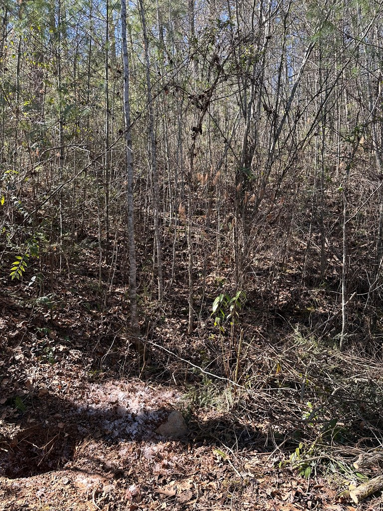1.5 Acre Trail Road, MURPHY, North Carolina image 8