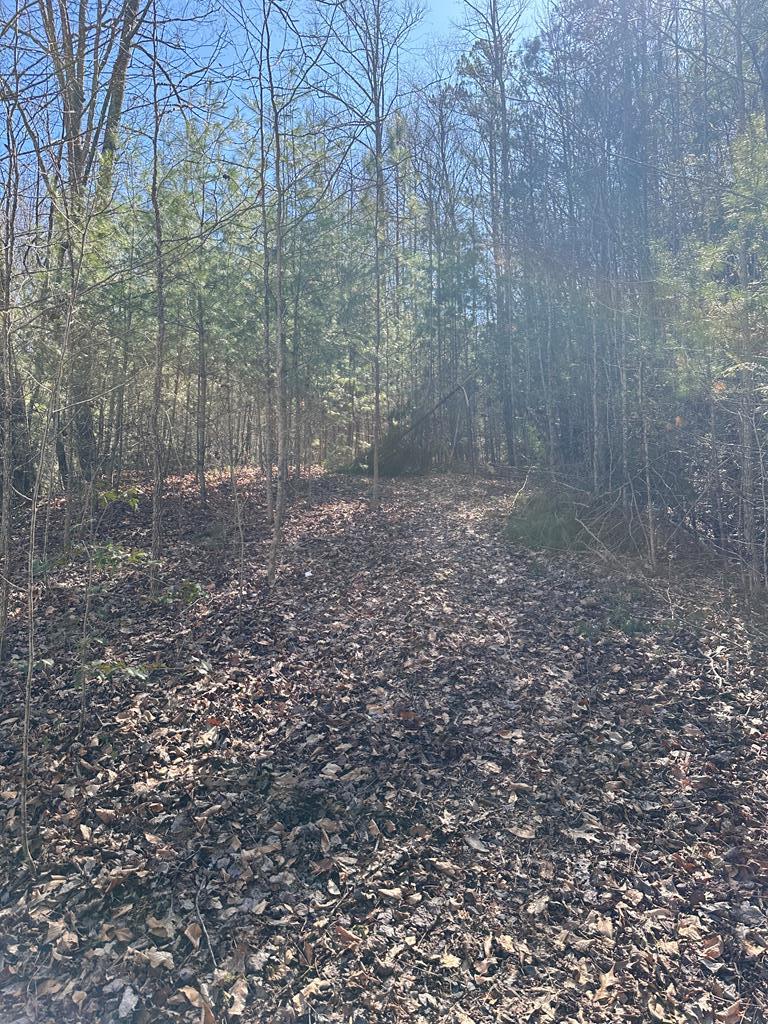 1.5 Acre Trail Road, MURPHY, North Carolina image 4