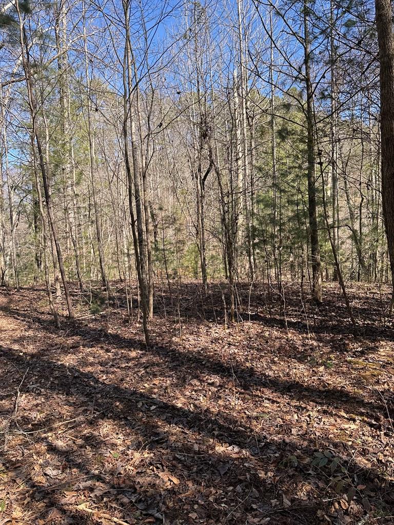 1.5 Acre Trail Road, MURPHY, North Carolina image 1