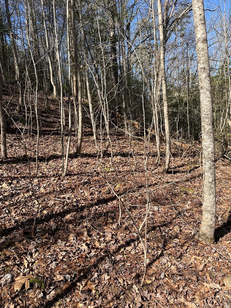 1.5 Acre Trail Road, MURPHY, North Carolina image 1