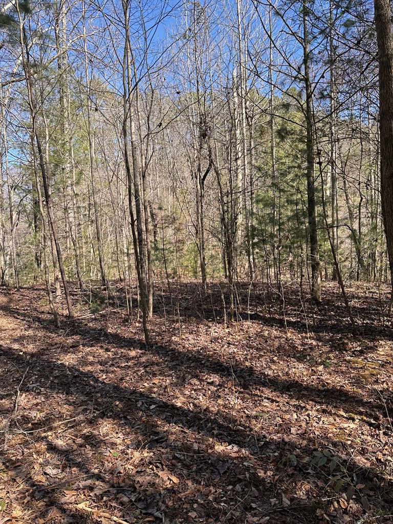 1.5 Acre Trail Road, MURPHY, North Carolina image 12