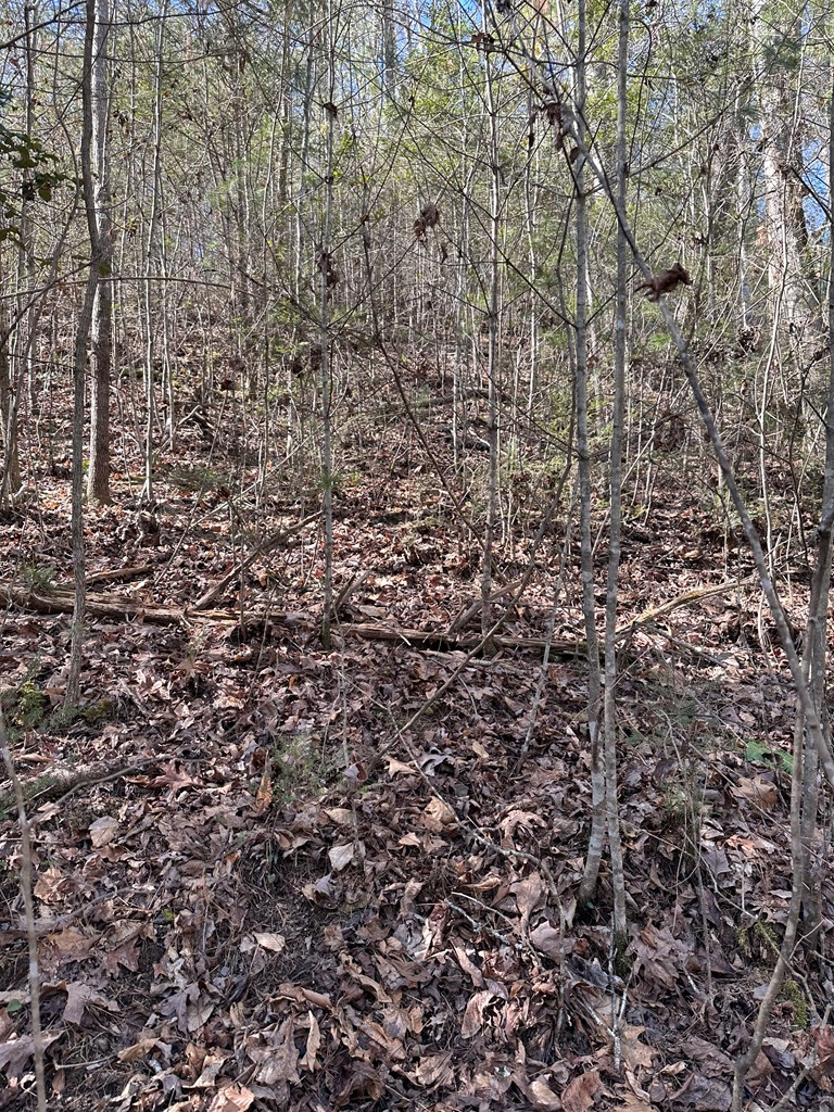 1.5 Acre Trail Road, MURPHY, North Carolina image 10