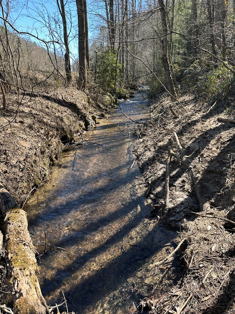 1.5 Acre Trail Road, MURPHY, North Carolina image 3