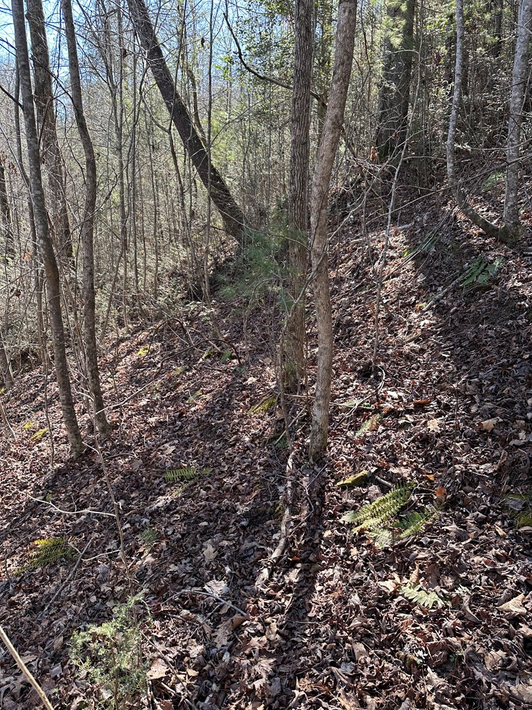 1.5 Acre Trail Road, MURPHY, North Carolina image 16