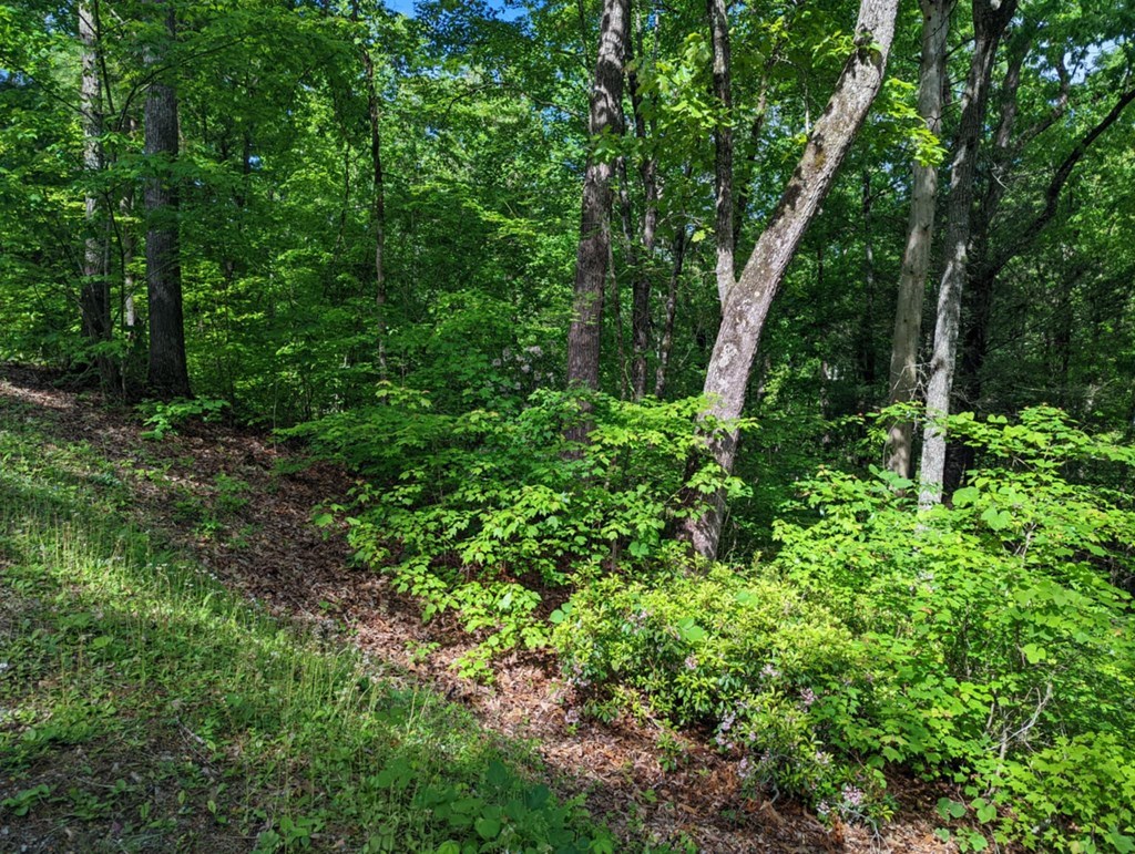 Lots 1&2 Highland Road #1,2, MURPHY, North Carolina image 2