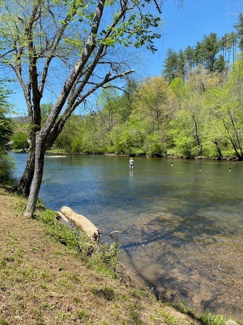 TBD Rushing Water Trl #3, HAYESVILLE, North Carolina image 10