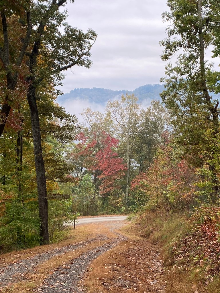 TBD Rushing Water Trl #3, HAYESVILLE, North Carolina image 19