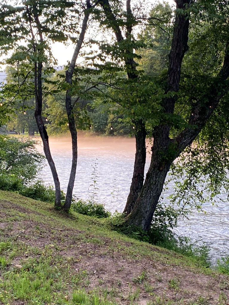 TBD Rushing Water Trl #3, HAYESVILLE, North Carolina image 18