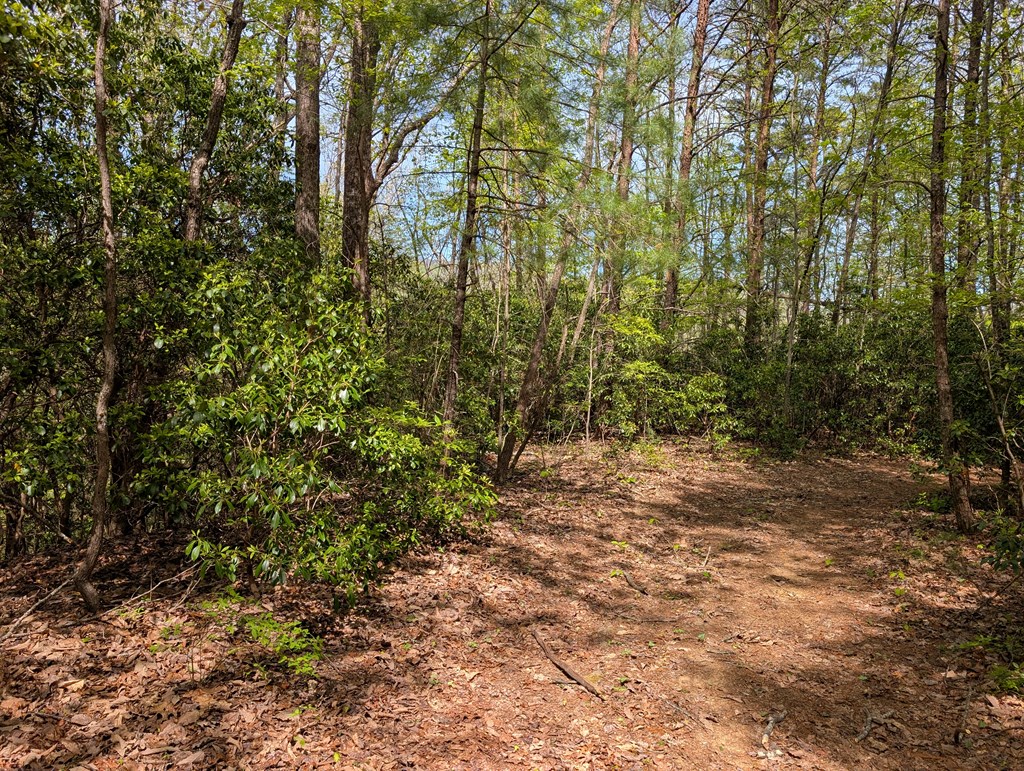 348 Atali Circle - Photo 3