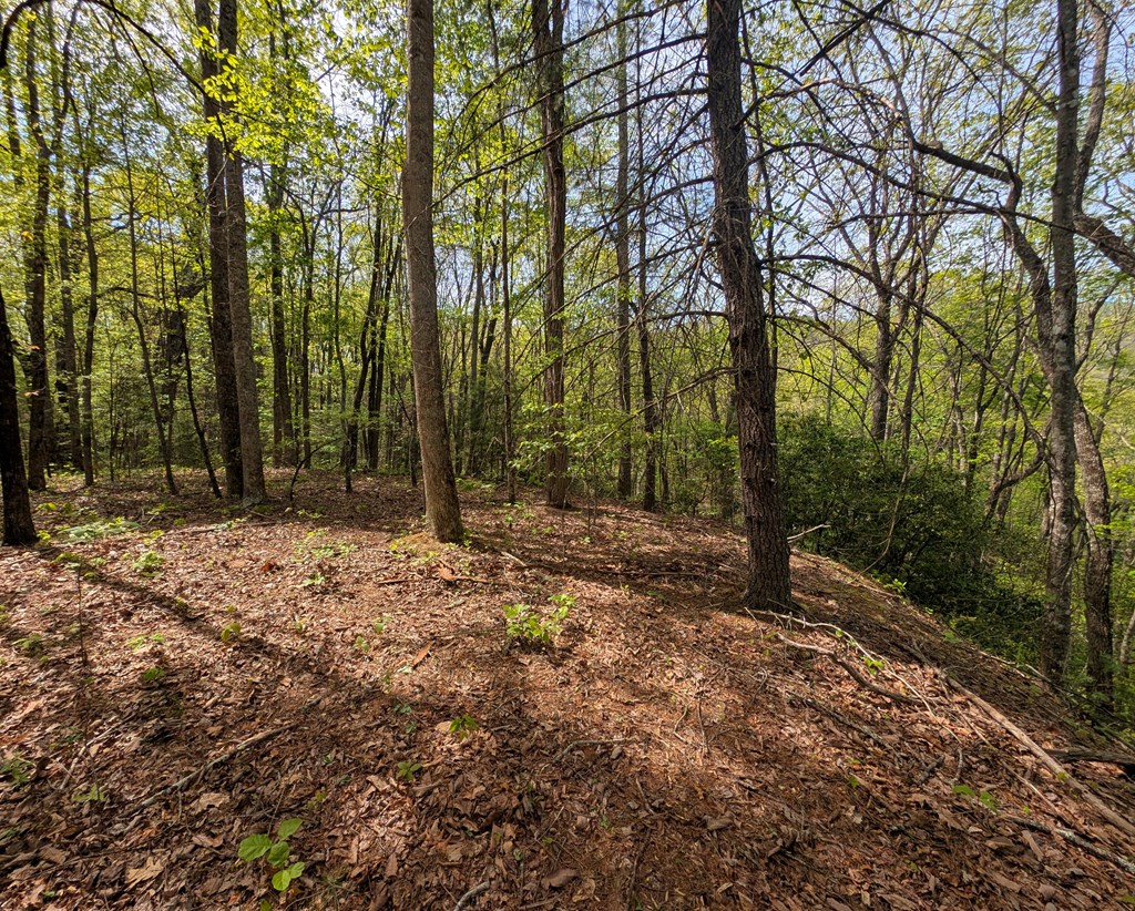 348 Atali Circle - Photo 2