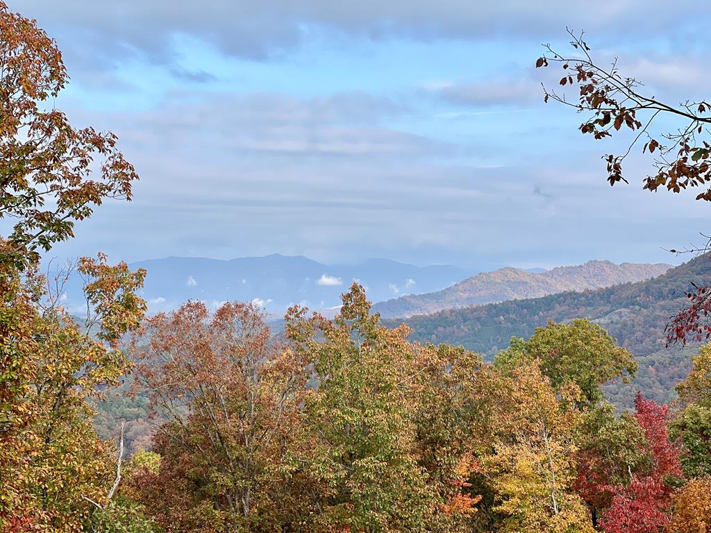 TBD Grand Laurel #30, BRASSTOWN, North Carolina image 1