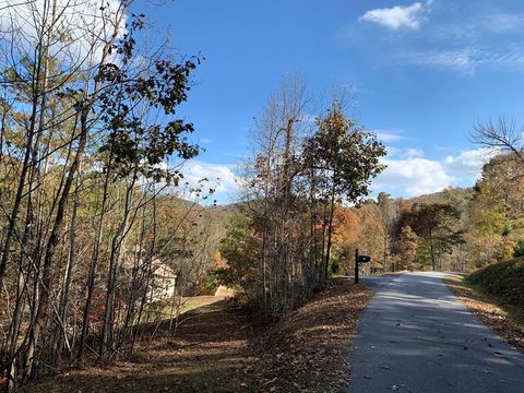 Vacant Land For Sale - 25&26 Mountain Knoll Lane #2526<br/> WARNE, NC 28909