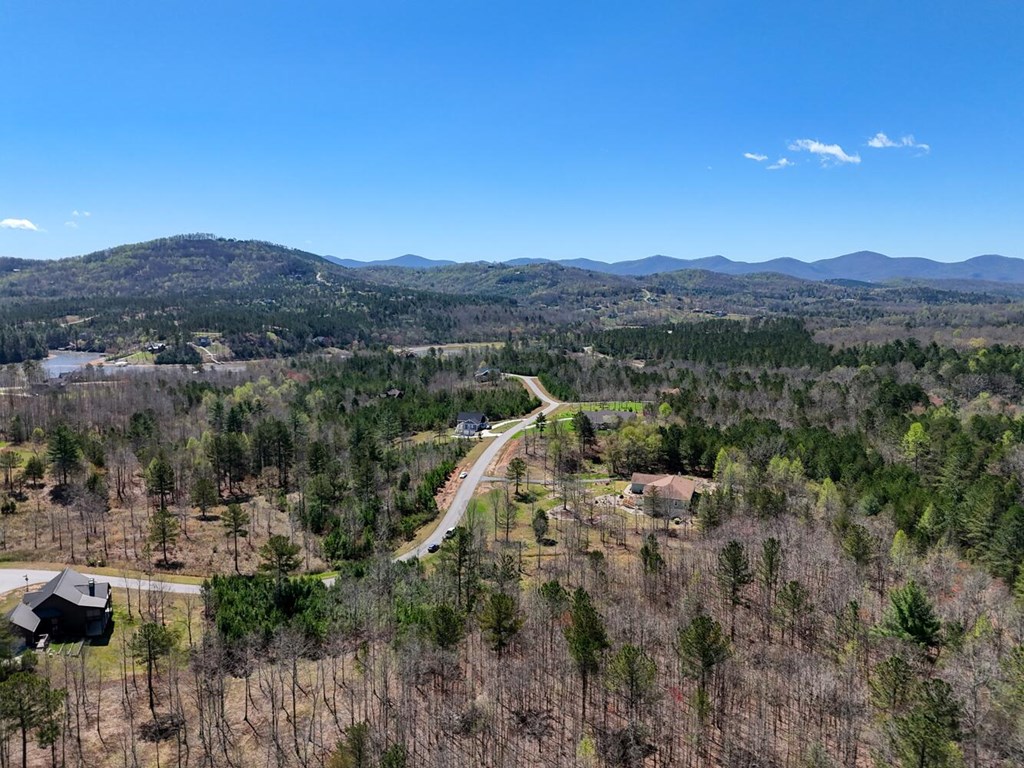 50 Northshore #50, BLAIRSVILLE, Georgia image 8