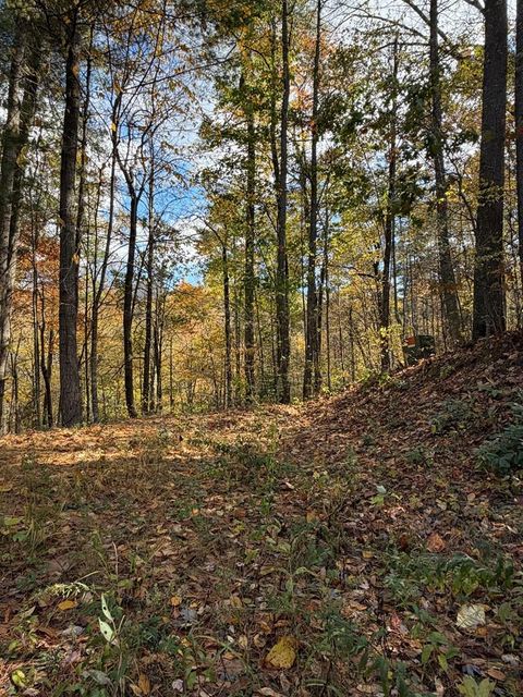 Vacant Land For Sale - 47/48 Little Secret Ln #4748<br/> MURPHY, NC 28906