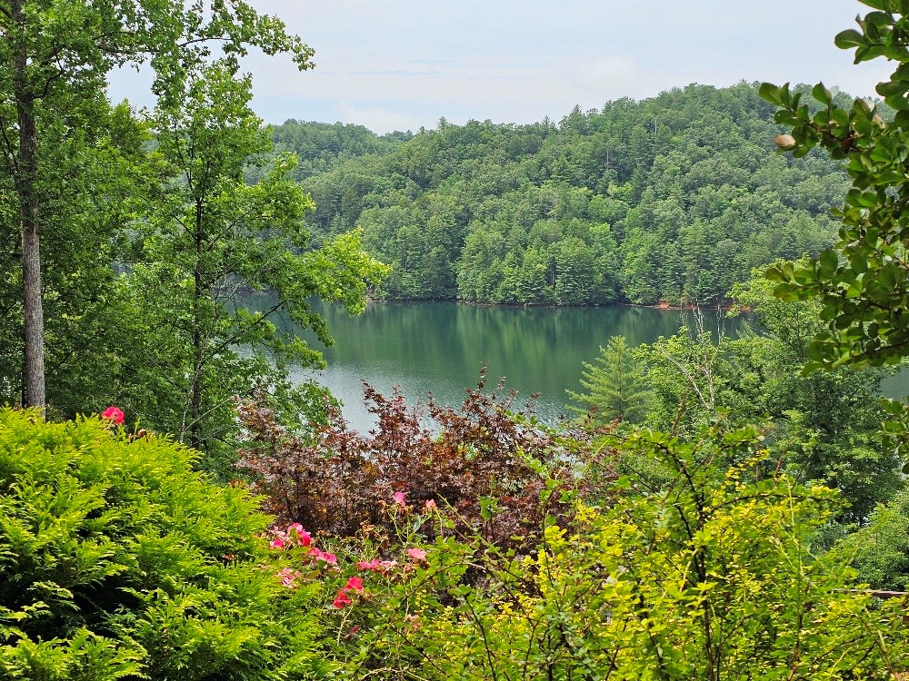 Lot 12 Wilderness Lake Cir #12, MURPHY, North Carolina image 5