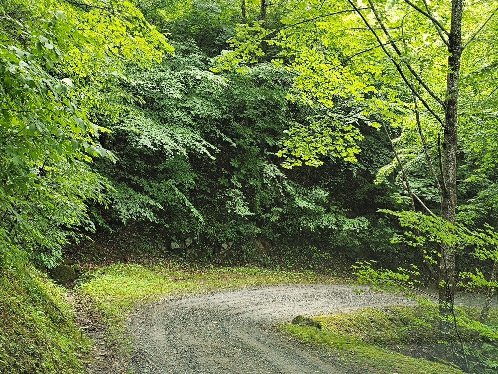 Lot 12 Wilderness Lake Cir #12, MURPHY, North Carolina image 9