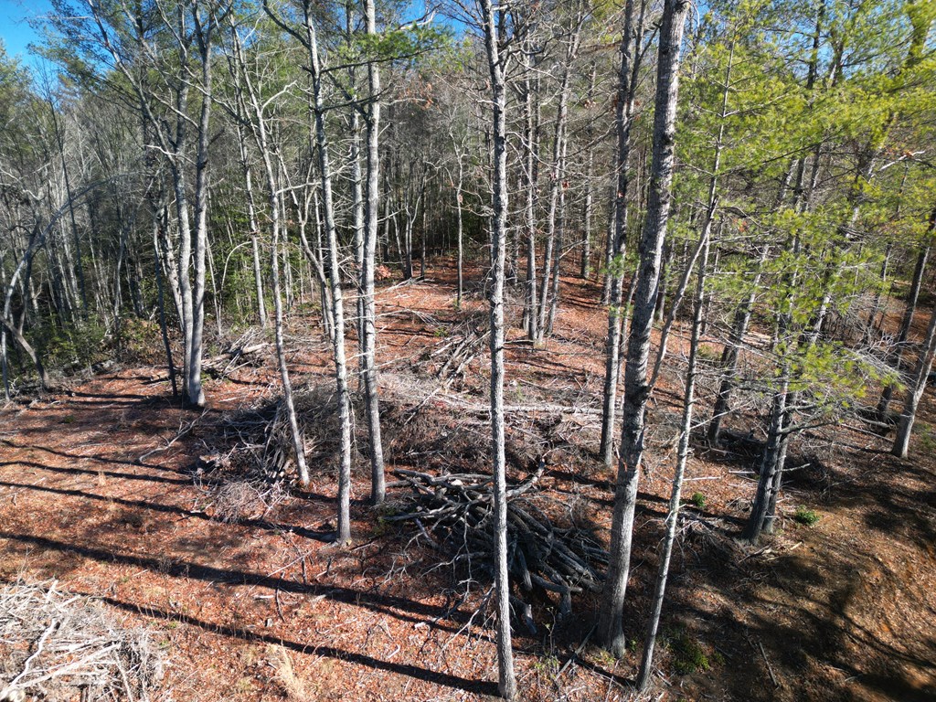 Lot 72 Rainy Farm Road #72, MURPHY, North Carolina image 2