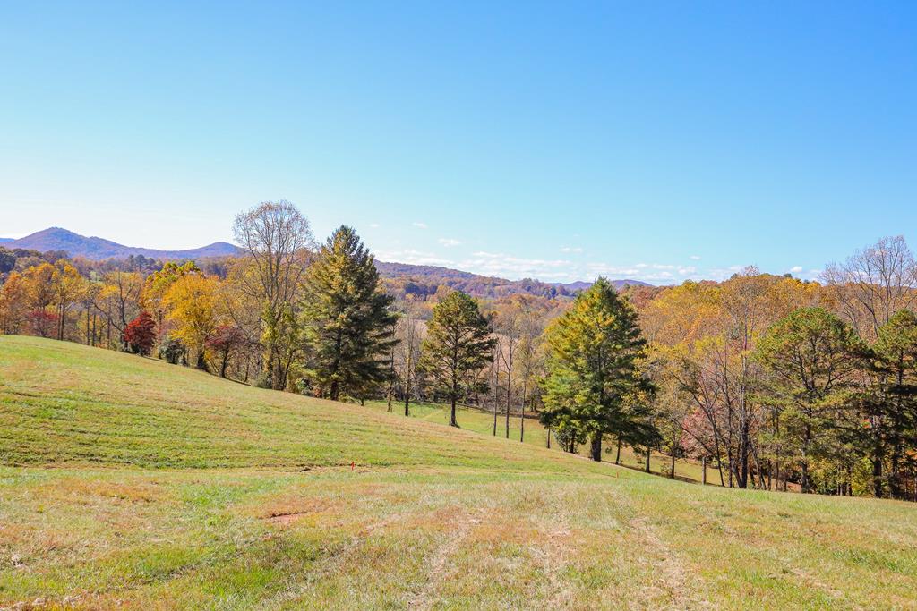 Lot 8 Hinton Overlook #8, HAYESVILLE, North Carolina image 1