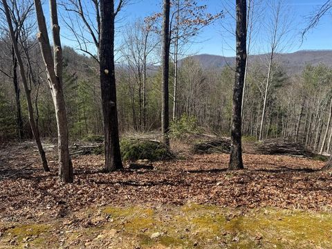 Vacant Land For Sale - LOT 56 Fires Creek Cove Road #56<br/> HAYESVILLE, NC 28904