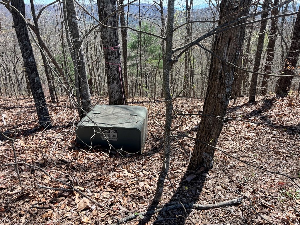 Lot 76 Turkey Pen Drive #76, MURPHY, North Carolina image 3