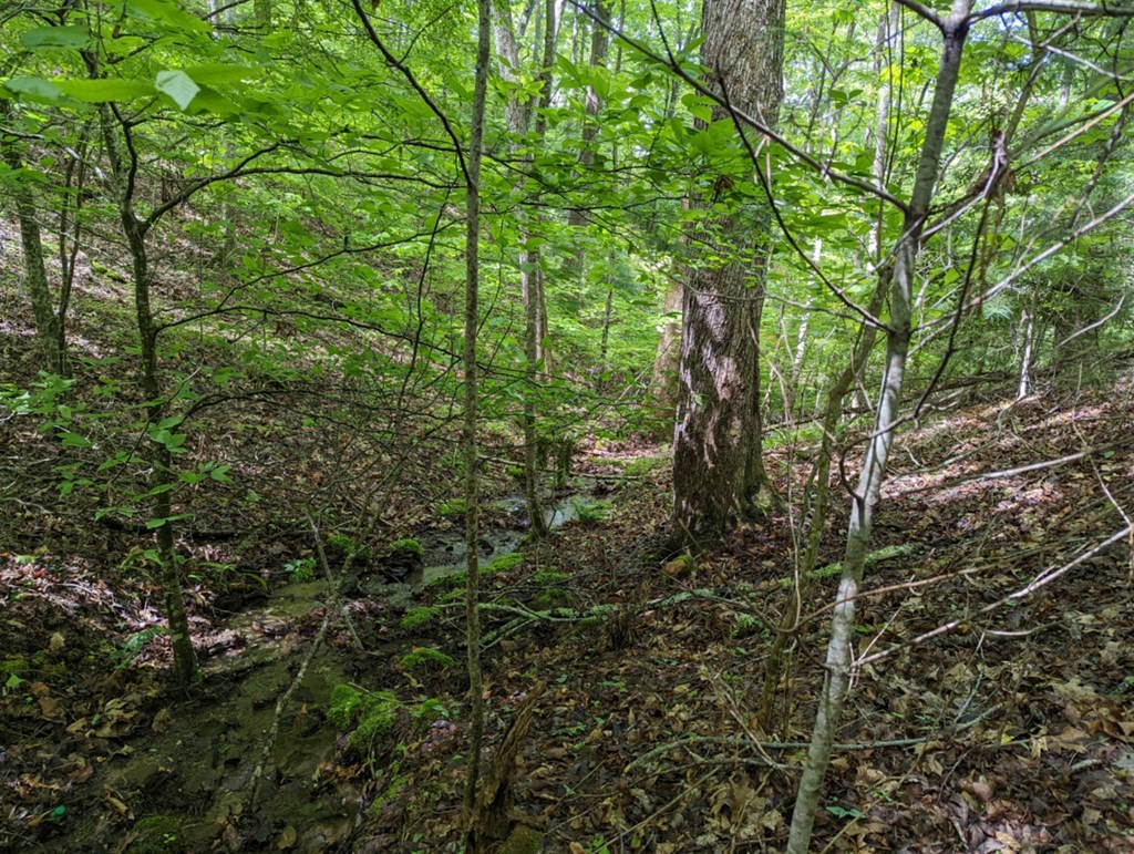 TBD Heritage Trail #95, BRASSTOWN, North Carolina image 10