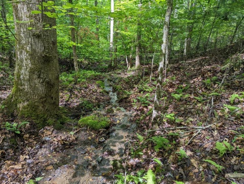 Vacant Land For Sale - TBD Heritage Trail #95<br/> BRASSTOWN, NC 28902