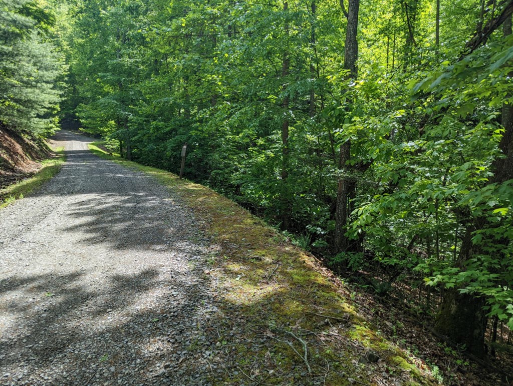 TBD Heritage Trail #95, BRASSTOWN, North Carolina image 2