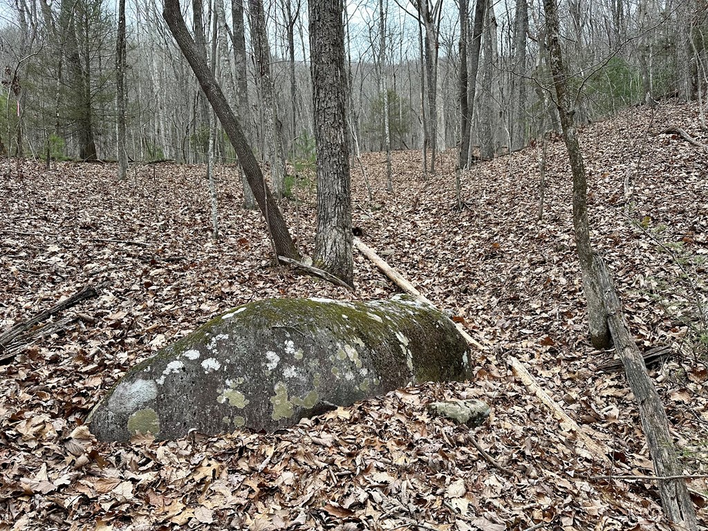 15-19 Indian Rock Springs #15-19, MURPHY, North Carolina image 40