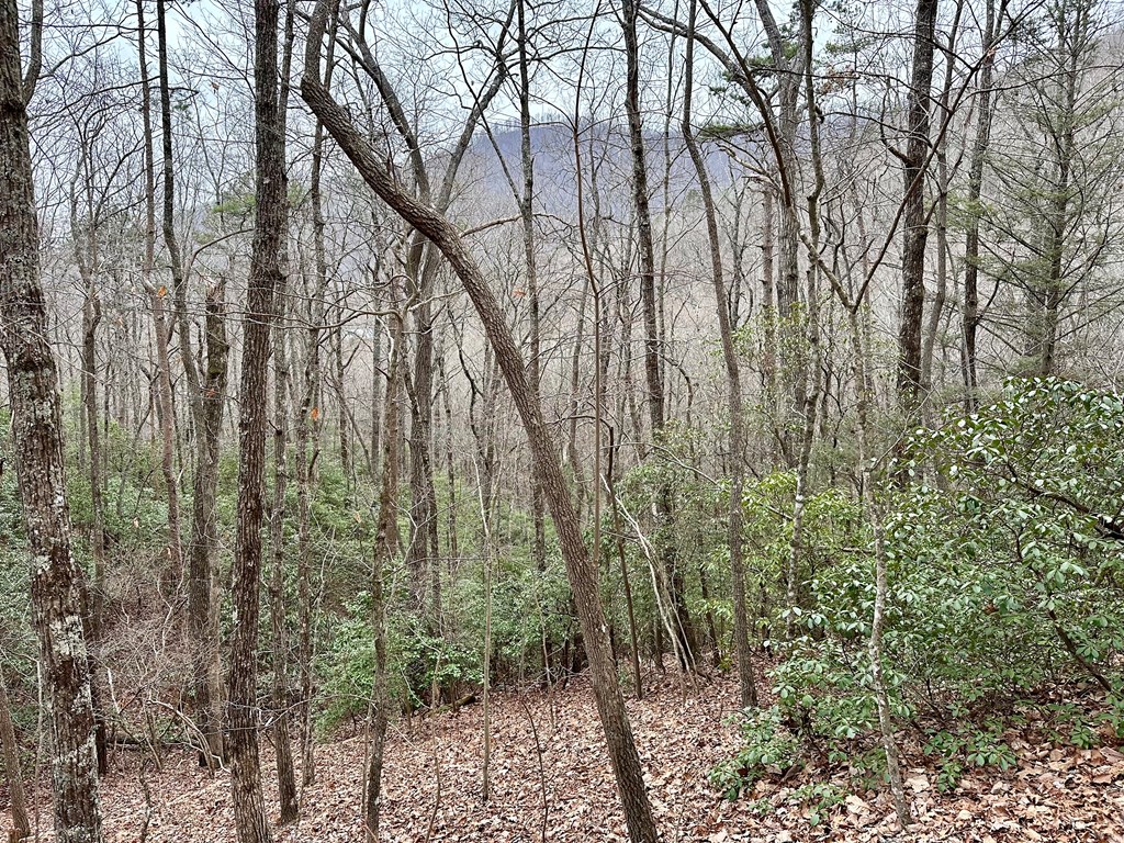 15-19 Indian Rock Springs #15-19, MURPHY, North Carolina image 27