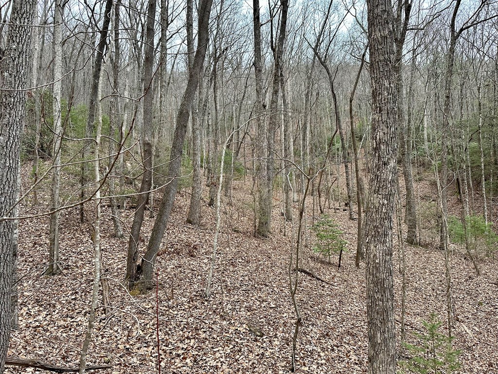 15-19 Indian Rock Springs #15-19, MURPHY, North Carolina image 38