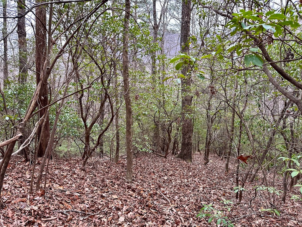 15-19 Indian Rock Springs #15-19, MURPHY, North Carolina image 17